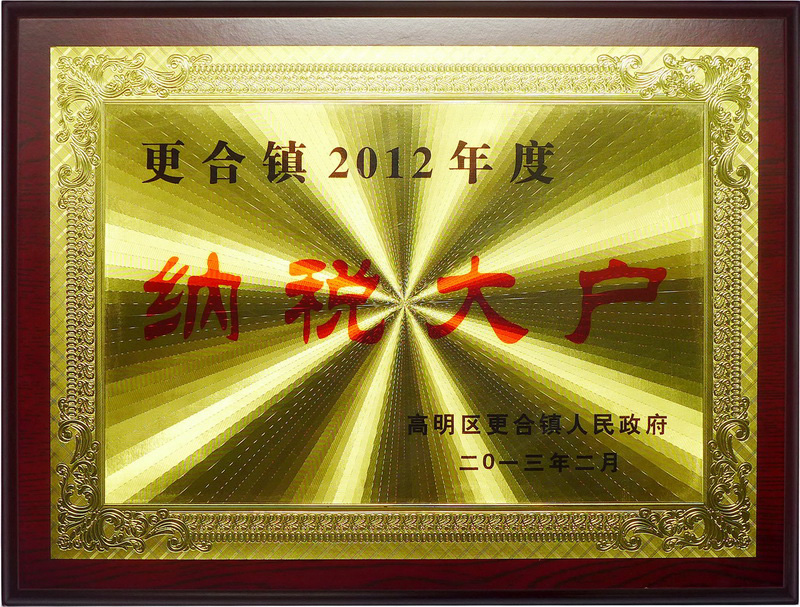2012納稅大戶(2012年)