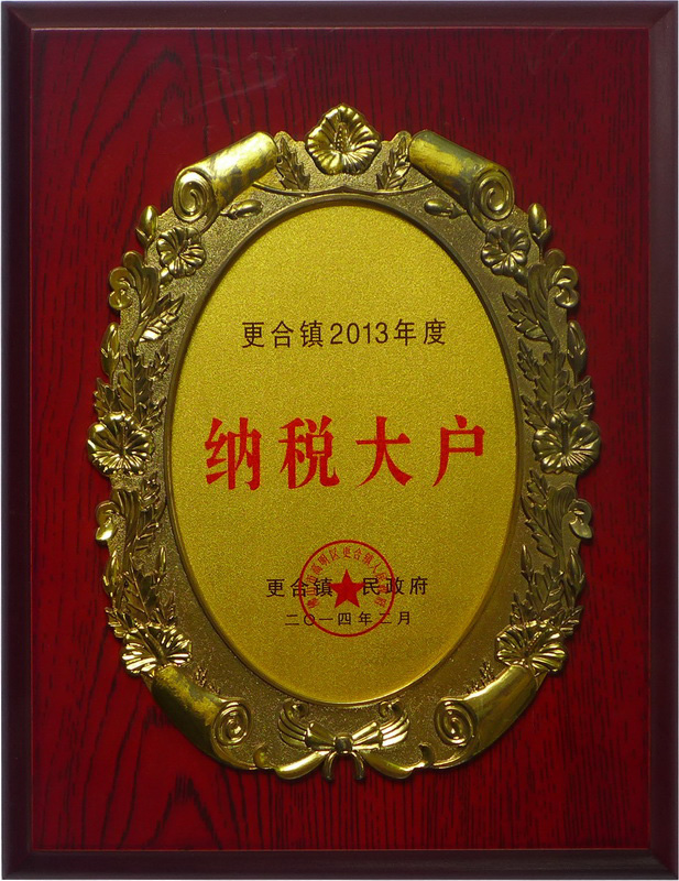 2013納稅大戶(2013年)